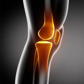 Chiropractic Santa Clarita CA Knee Pain Diagram